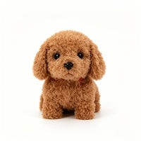 Teddy