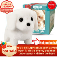 White Labrador Toy Gift Box