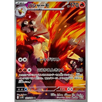 Blaziken 101/098