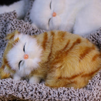 Yellowtabby