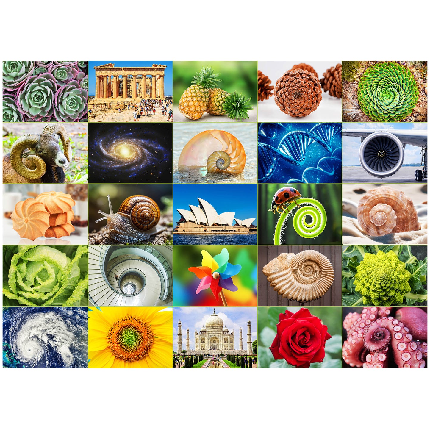 3 Pack Challenging 1000 Piece Large Jigsaw Puzzle for Adults, for Family Game Night, Birthday/Christmas/Holiday/Easter Gift, DIY Home Decor, Puzzles with Letters on Back, Fusine Lake, Jungle Parrots, Leopard in the Jungle, Travel Landscape, Scenic Spots i