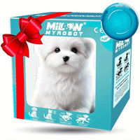 G2 (Gift Box)