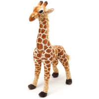 Jocelyn The Giraffe